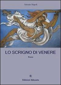 Lo scrigno di Venere - Antonio Napoli - copertina