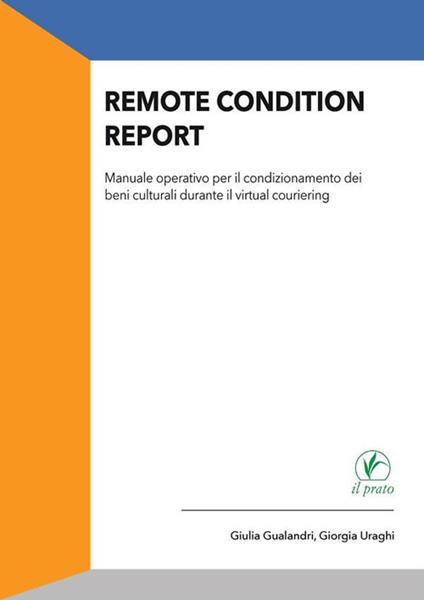 Remote condition report - Giulia Gualandri,Giorgia Uraghi - ebook