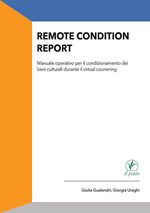 Remote condition report - Giulia Gualandri,Giorgia Uraghi - ebook