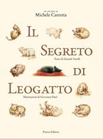Il segreto di Leogatto. Ediz. illustrata