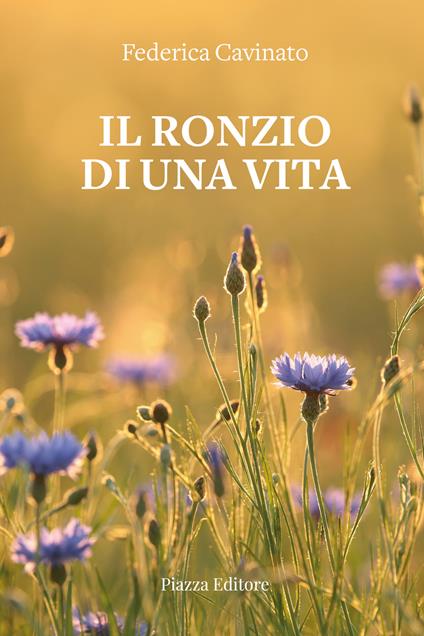 Il ronzio di una vita - Federica Cavinato - copertina
