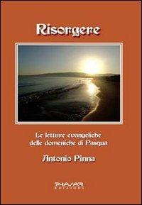 Risorgere. Le letture evangeliche delle domeniche di Pasqua - Antonio Pinna - copertina