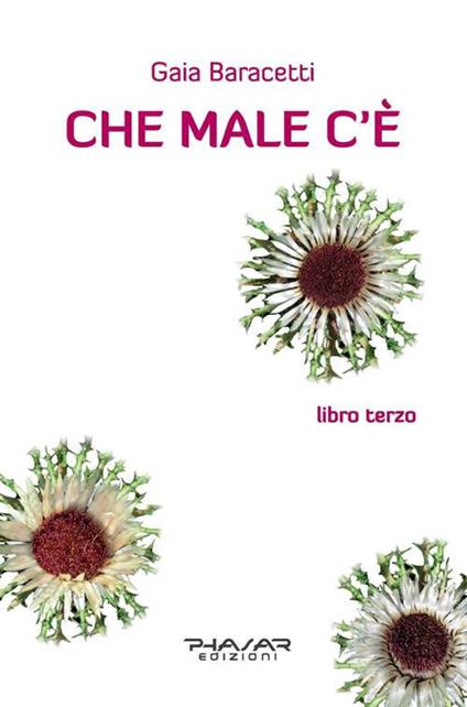 Che male c'è. Libro terzo - Gaia Baracetti - copertina