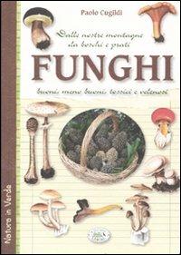 Funghi dalle nostre montagne, da boschi e prati. Buoni, meno buoni, tossici e velenosi - Paolo Cugildi - 3