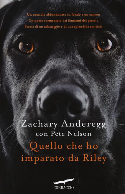 Quello che ho imparato da Riley - Zachary Anderegg,Pete Nelson - copertina