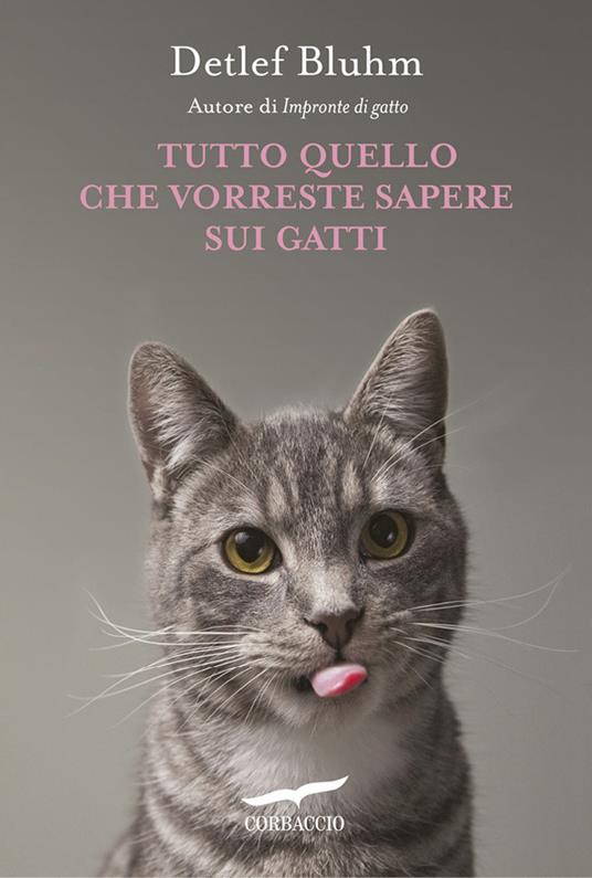 Tutto quello che vorreste sapere sui gatti - Detlef Bluhm,Alessandra Petrelli - ebook