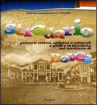 Stradario boves. Percorsi storici, artistici culturali a piedi e in bicicletta nel territorio. Con cartina geografica - copertina