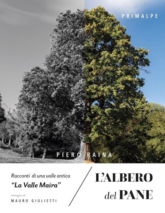 L'albero del pane. Racconti di una valle antica «la valle Maira» - Piero Raina - copertina