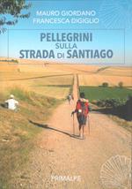 Pellegrini sulla strada di Santiago