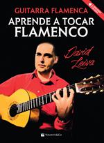 Guitar flamenca. Aprende a tocar flamenco. Con audio in download