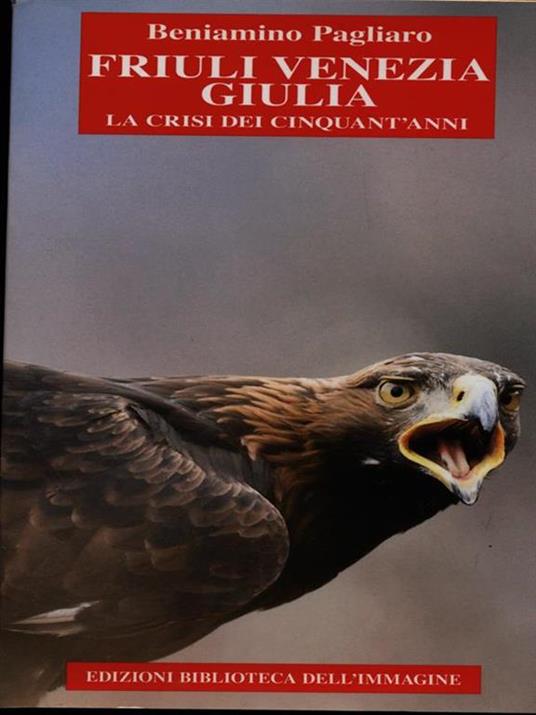 Friuli Venezia Giulia. La crisi dei cinquant'anni - Beniamino Pagliaro - 4