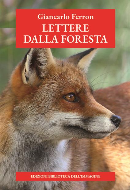 Lettere dalla foresta - Giancarlo Ferron - copertina