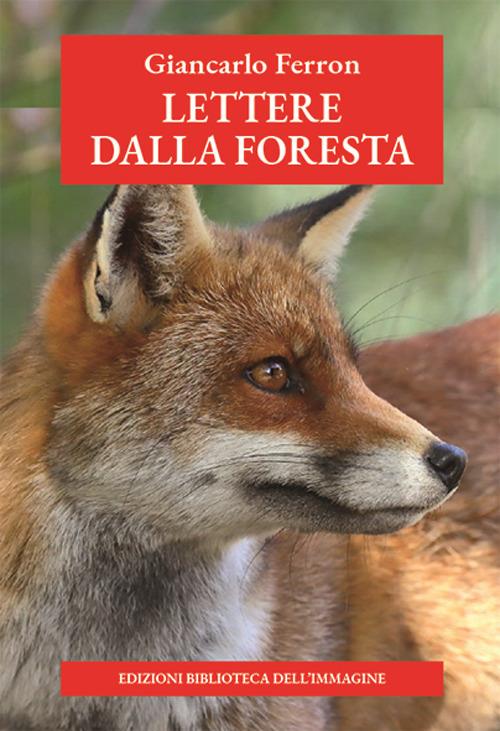 Lettere dalla foresta - Giancarlo Ferron - copertina