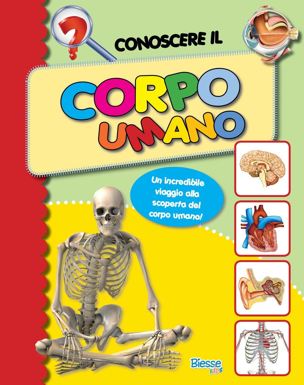 ibs