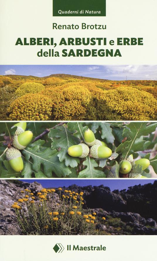 Alberi, arbusti e erbe della Sardegna. Ediz. a colori - Renato Brotzu - copertina