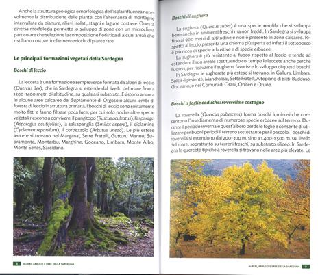 Alberi, arbusti e erbe della Sardegna. Ediz. a colori - Renato Brotzu - 2