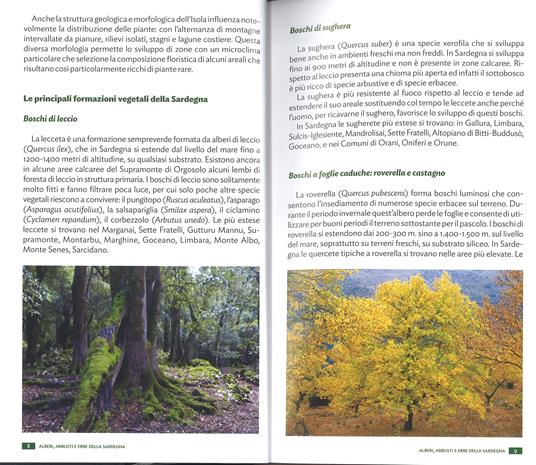 Alberi, arbusti e erbe della Sardegna. Ediz. a colori - Renato Brotzu - 2