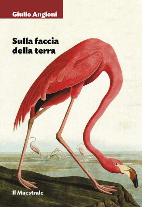 Sulla faccia della terra - Giulio Angioni - copertina