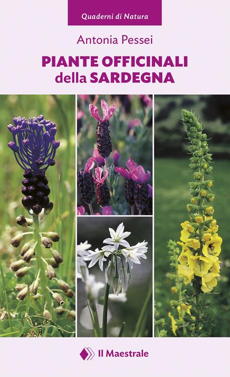 Piante officinali della Sardegna - Antonia Pessei - copertina