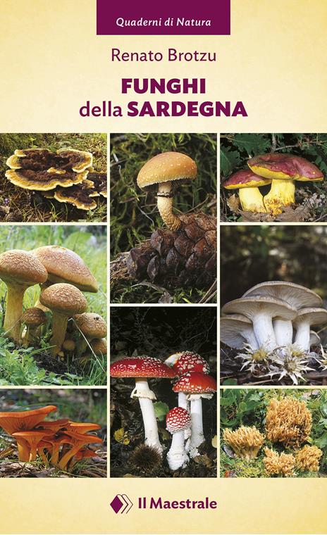 Funghi della Sardegna. Ediz. illustrata - Renato Brotzu - copertina