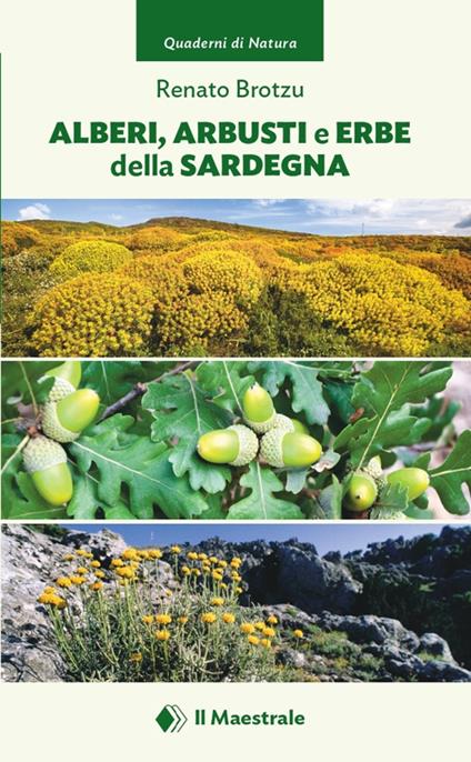 Alberi, arbusti e erbe della Sardegna - Renato Brotzu - copertina