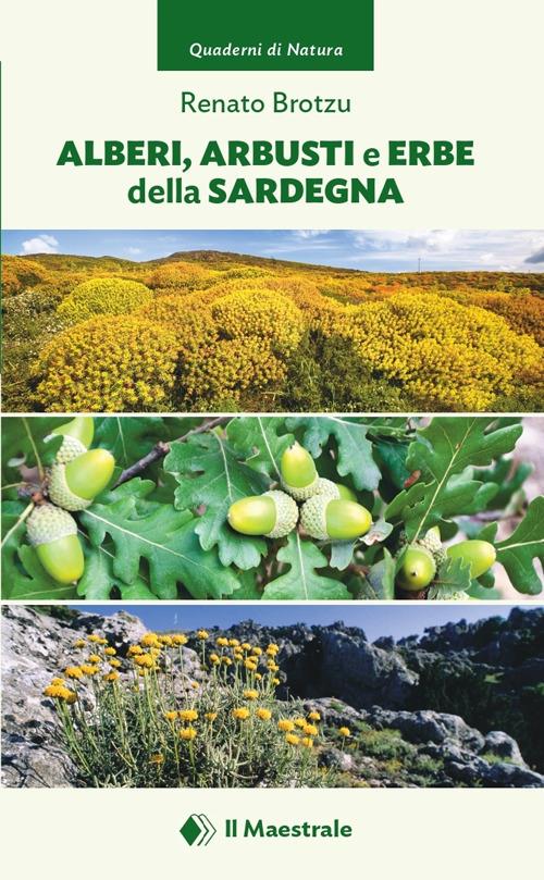 Alberi, arbusti e erbe della Sardegna - Renato Brotzu - copertina