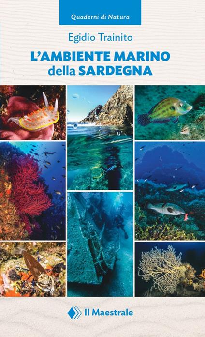 L'ambiente marino della Sardegna - Egidio Trainito - copertina