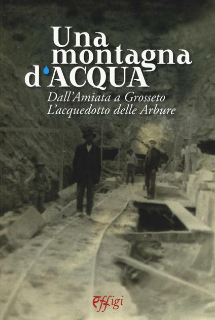 Una montagna d'acqua. Dall'Amiata a Grosseto. L'acquedotto delle Arbure - copertina