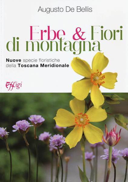 Erbe & fiori di montagna. Nuove specie floristiche della Toscana meridionale - Augusto De Bellis - copertina
