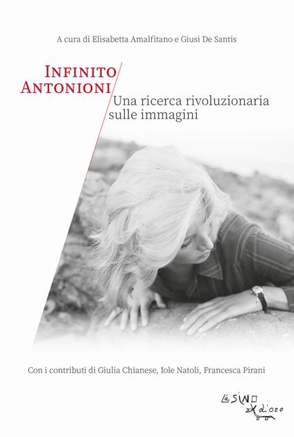 Infinito Antonioni. Una ricerca rivoluzionaria sulle immagini - copertina