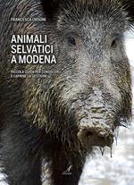 Animali selvatici a Modena. Piccola guida per conoscerli e capirne la gestione