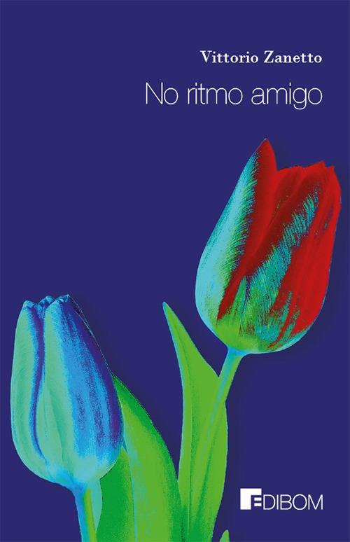 No ritmo amigo - Vittorio Zanetto - copertina