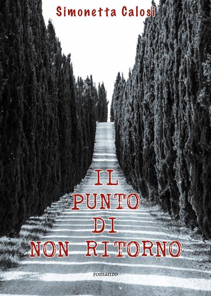 Il punto di non ritorno - Simonetta Calosi - copertina