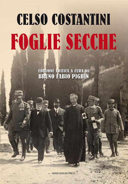 Foglie secche - Celso Costantini - copertina