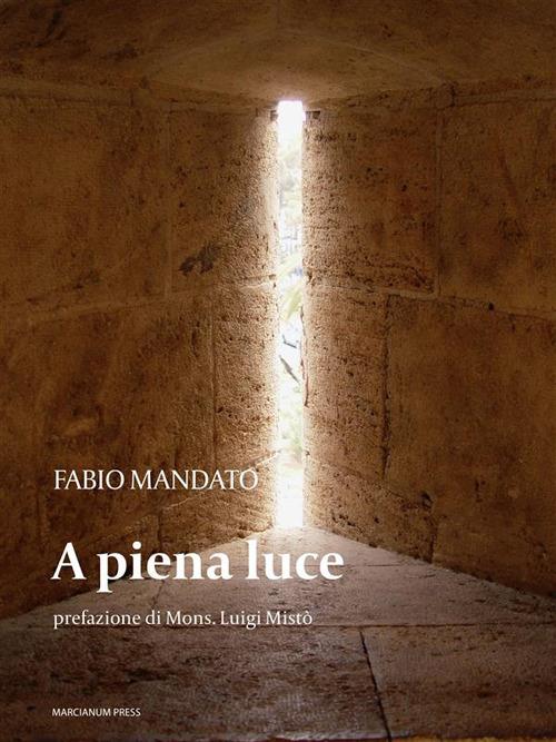 A piena luce - Fabio Mandato - ebook