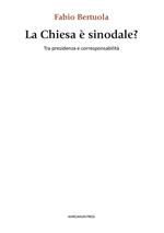 La chiesa è sinodale? Tra presidenza e corresponsabilità