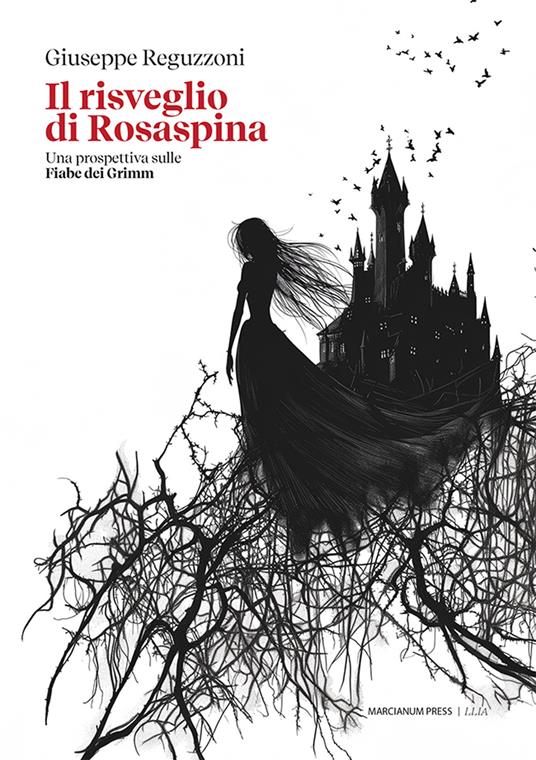 Il risveglio di Rosaspina. Una prospettiva sulle Fiabe dei Grimm - Giuseppe Reguzzoni - copertina