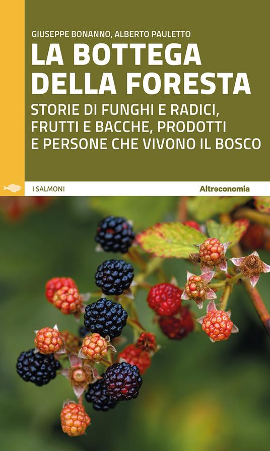 La bottega della foresta. Storie di funghi e radici, frutti e bacche, prodotti e persone che vivono il bosco - Giuseppe Bonanno,Alberto Pauletto - copertina