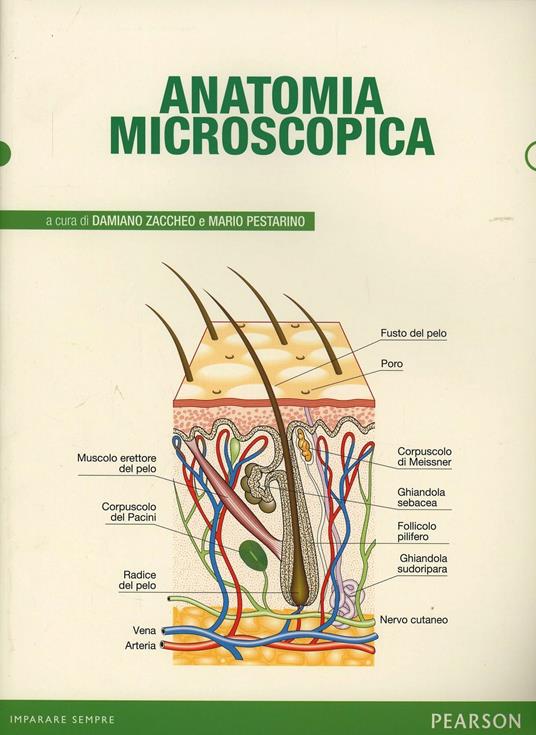 Anatomia microscopica - Damiano Zaccheo,Mario Pestarino - copertina