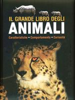 Nome prodotto