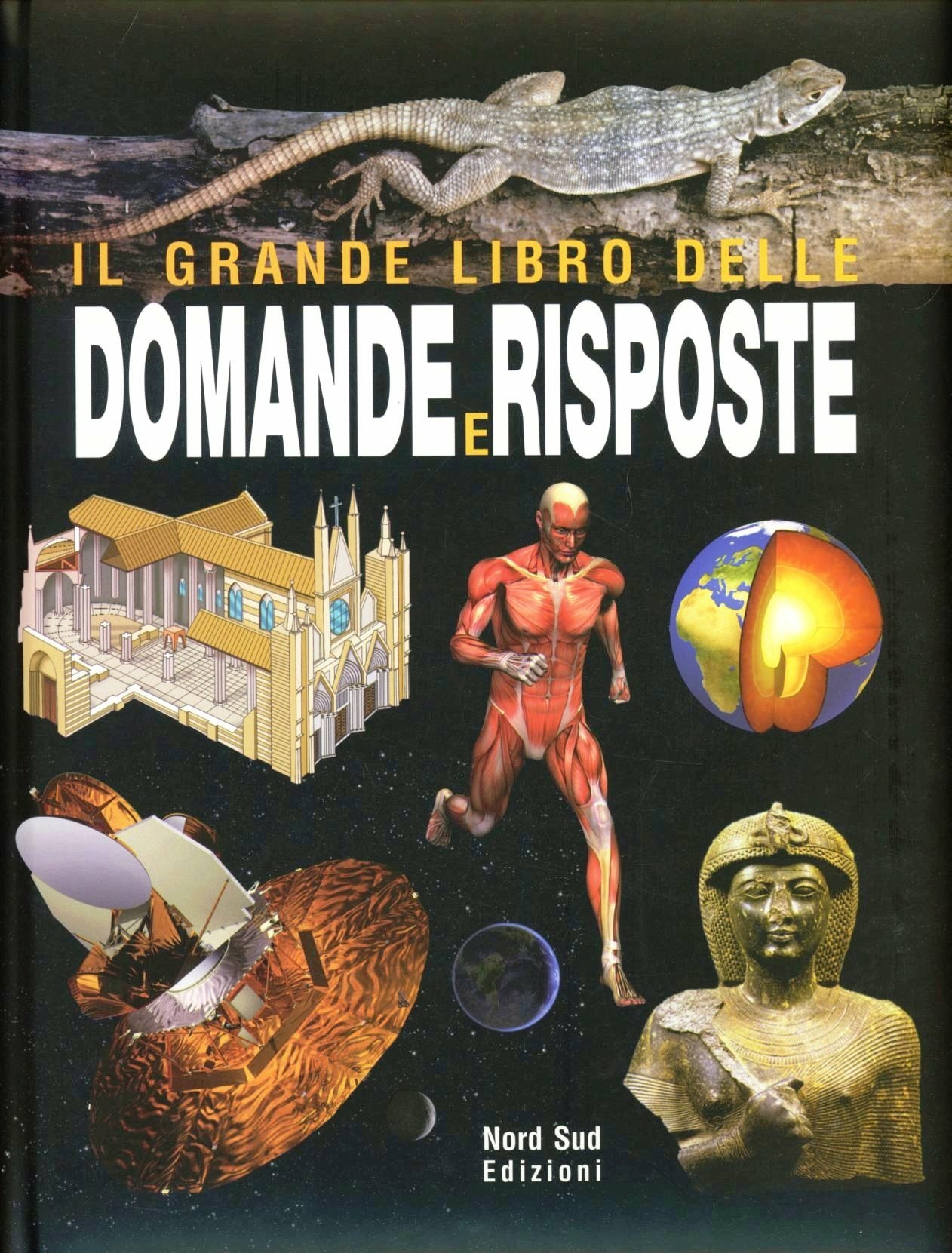 Libreria Internazionale Romagnosi snc