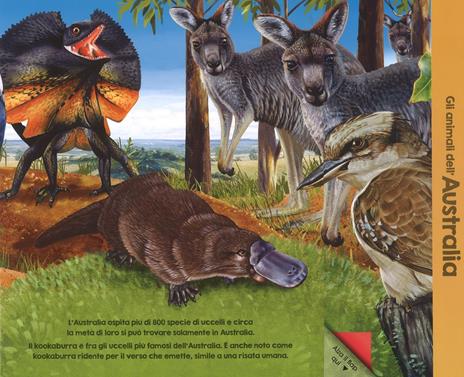 Scopri gli animali del mondo. Ediz. a colori - Garry Fleming - 3