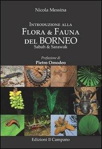 Introduzione alla flora & fauna del Borneo. Sabah & sarawak - Nicola Messina - copertina