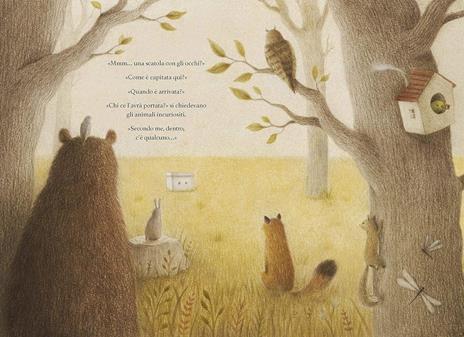 La scatola - Isabella Paglia - 2