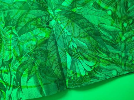 Insetti & co. Esplora il mondo degli invertebrati con la tua magica lente a 3 colori. Ediz. a colori. Con lenti colorate - Barbara Taylor - 9