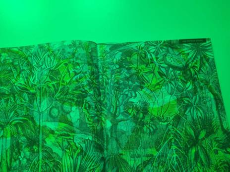 Illuminosauro. Esplora il mondo dei dinosauri con la tua magica lente a 3 colori. Ediz. a colori. Con lenti colorate - Lucy Brownridge - 9