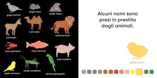 Viva i colori! Ediz. a colori - Gaël Le Neillon - 2