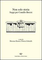 Non solo storia. Saggi per Camillo Brezzi