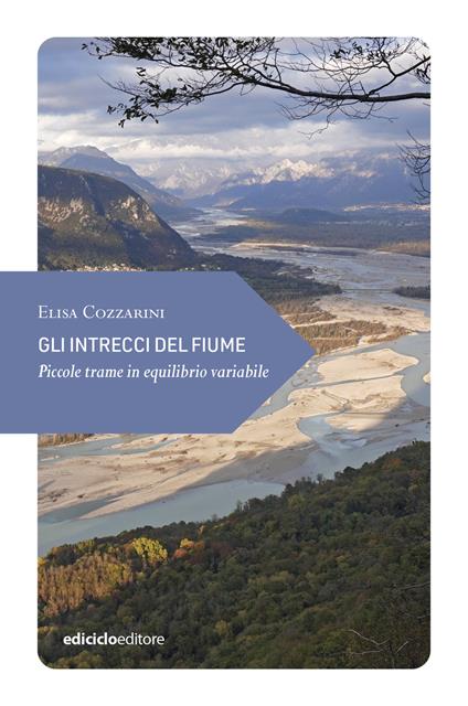 Gli intrecci del fiume. Piccole trame in equilibrio variabile - Elisa Cozzarini - ebook