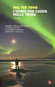 L'uomo che cadde sulla terra